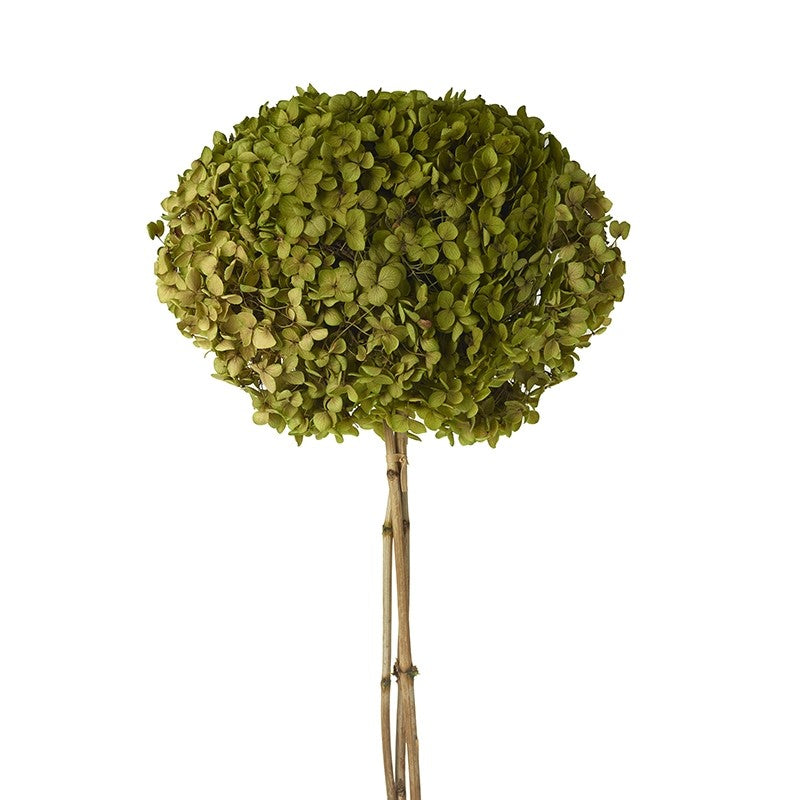 Green Faux Preserved Hydrangea Stem
