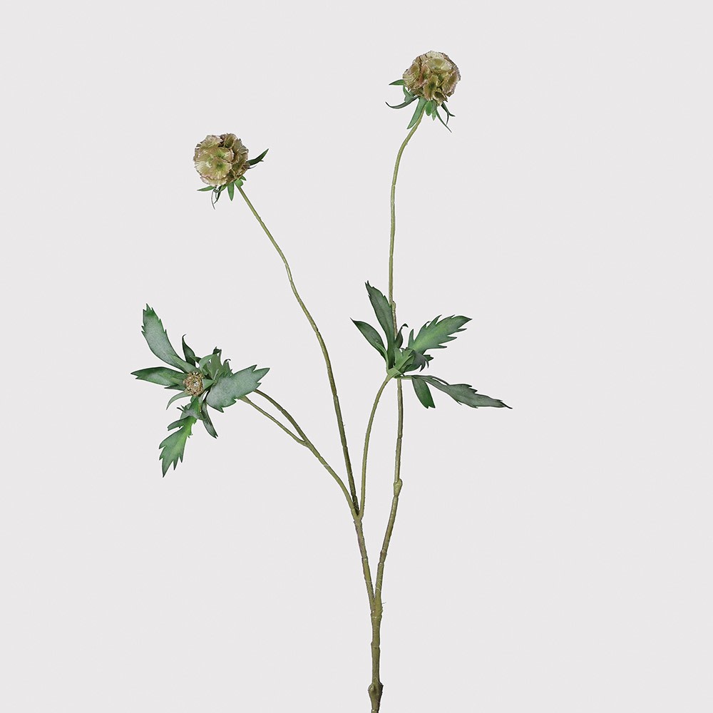 Faux Scabiosa Stellata Spray with Leaves