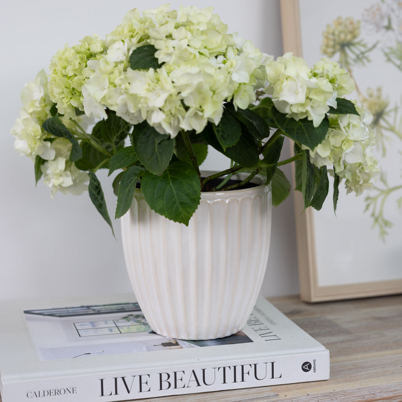 Milou Cream Ribbed Planter Pot