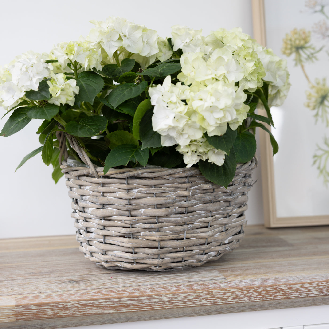 Minna Grey Baskets