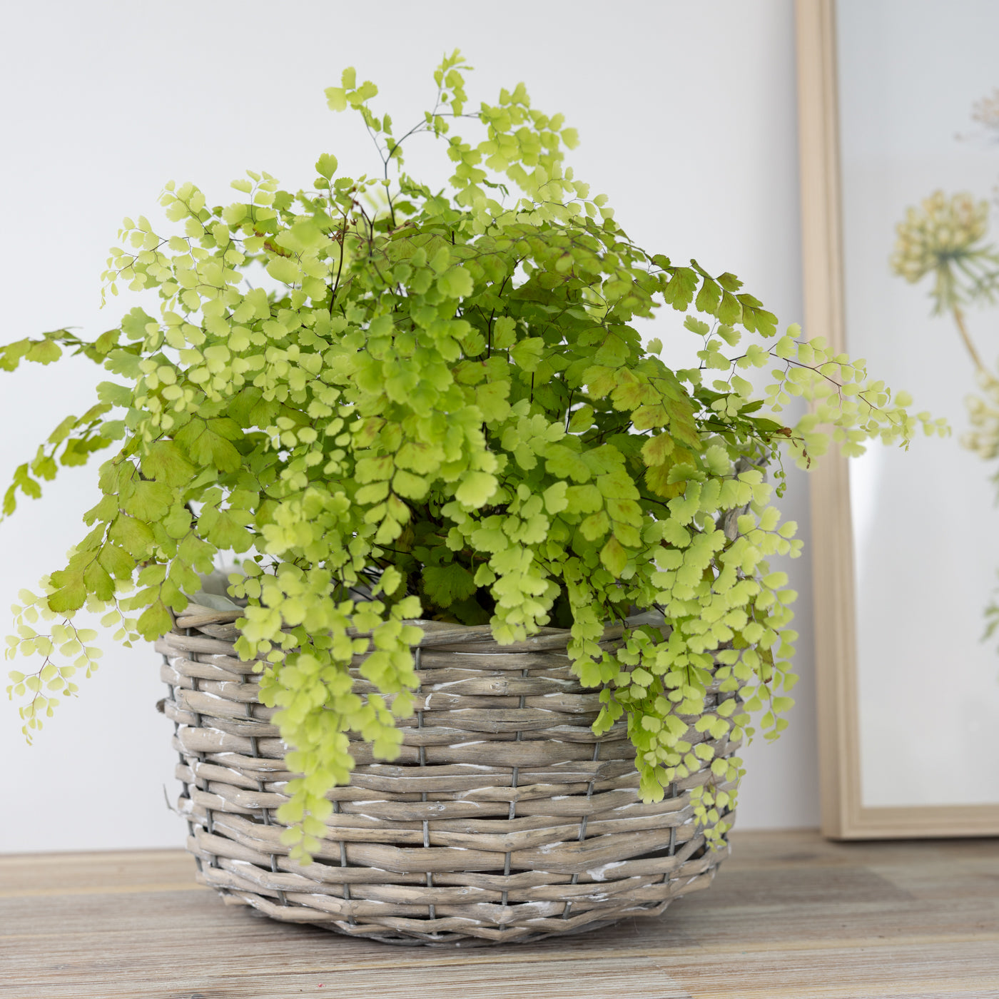 Minna Grey Baskets