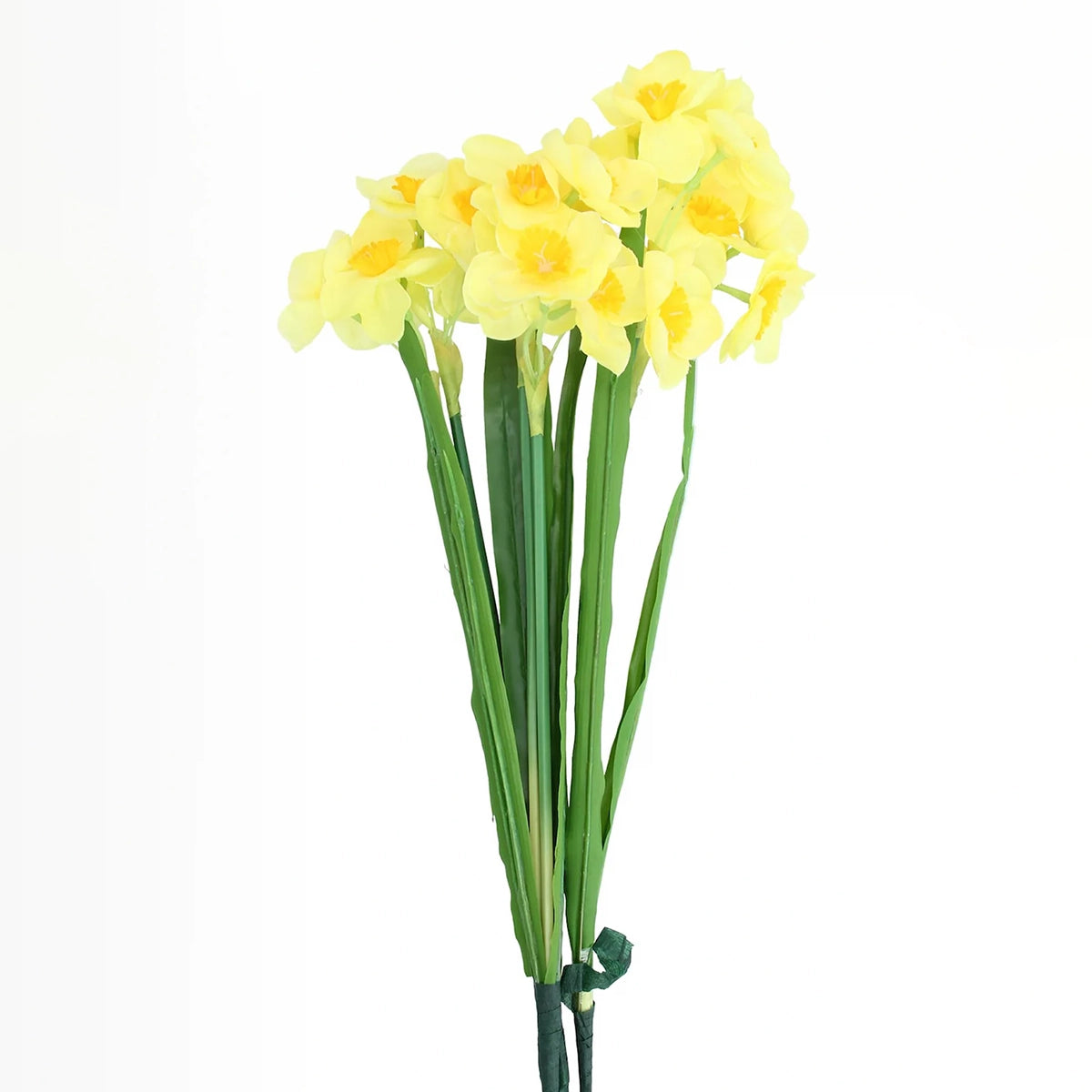 Narcissus Bunch - Yellow