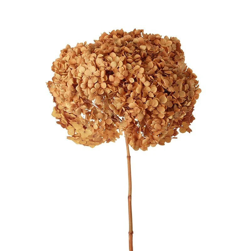 Orange Faux Preserved Hydrangea Stem
