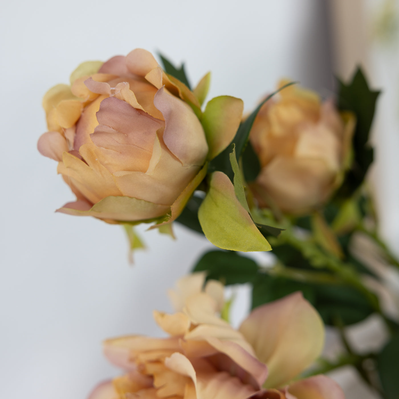 Peach Peony Stem