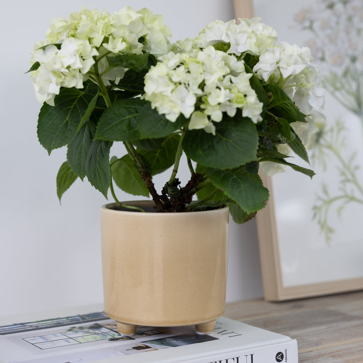 Piper Ochre Smooth Footed Planters