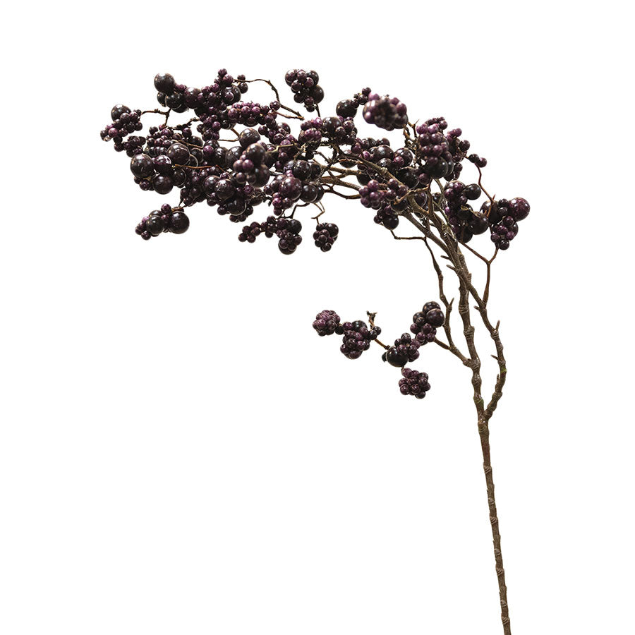 Purple Berries Spray