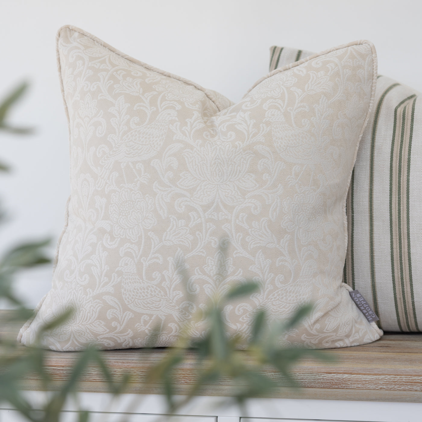 Auvergne Natural Cushion