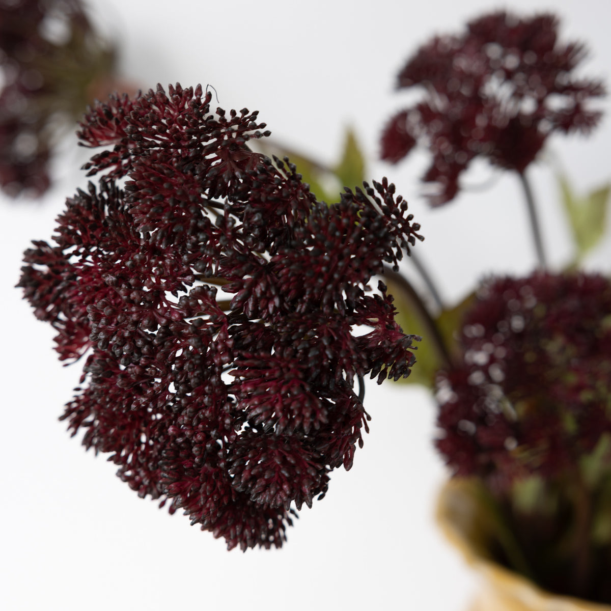 Faux Burgundy Angelica Seed Head Stem