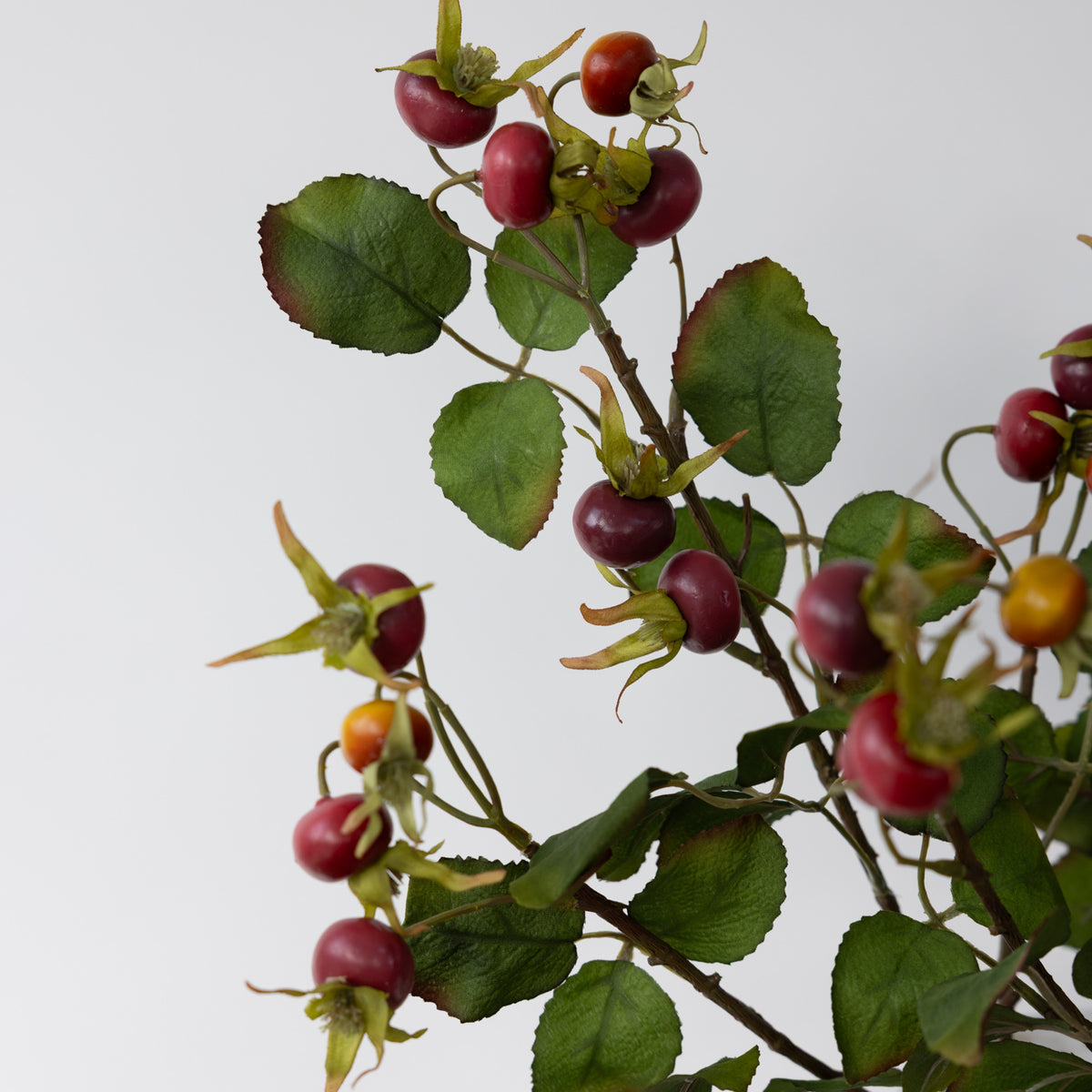 Faux Rosehip with Leaves Stem