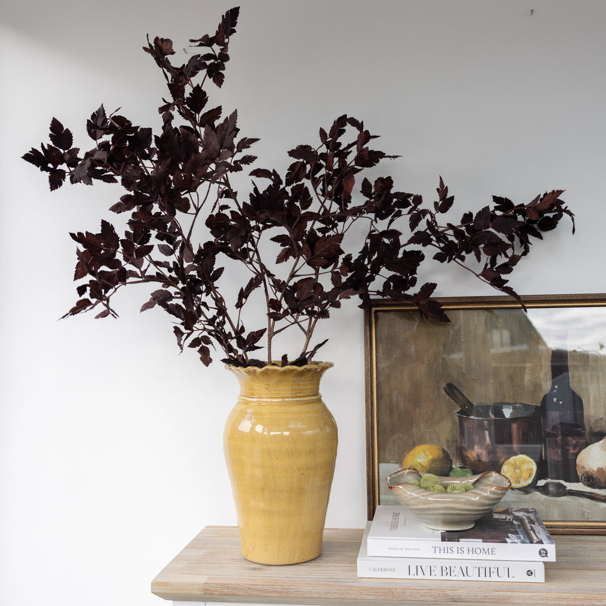 Faux Burgundy Physocarpus Diabolo Branch