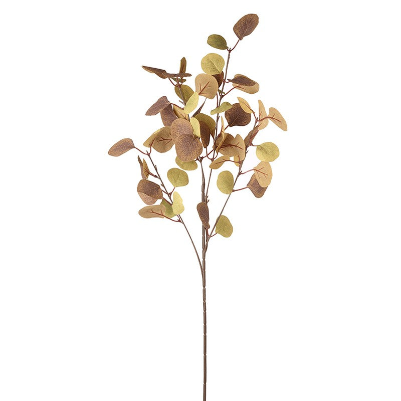 Tall Eucalyptus Leaf Spray