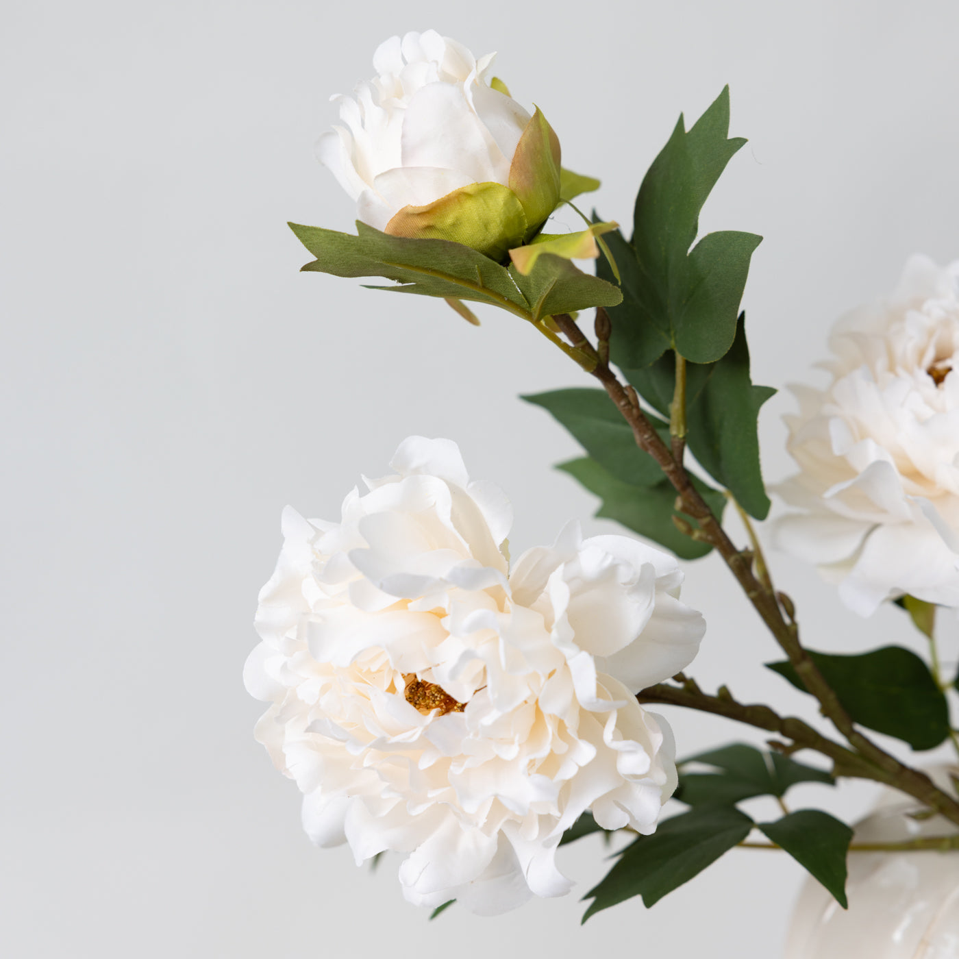 White Fashion Peony Stem
