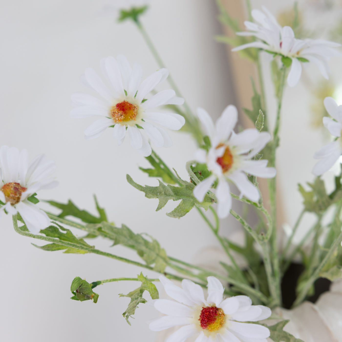 White Daisy Spray