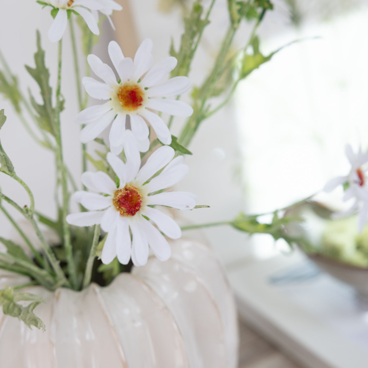 White Daisy Spray