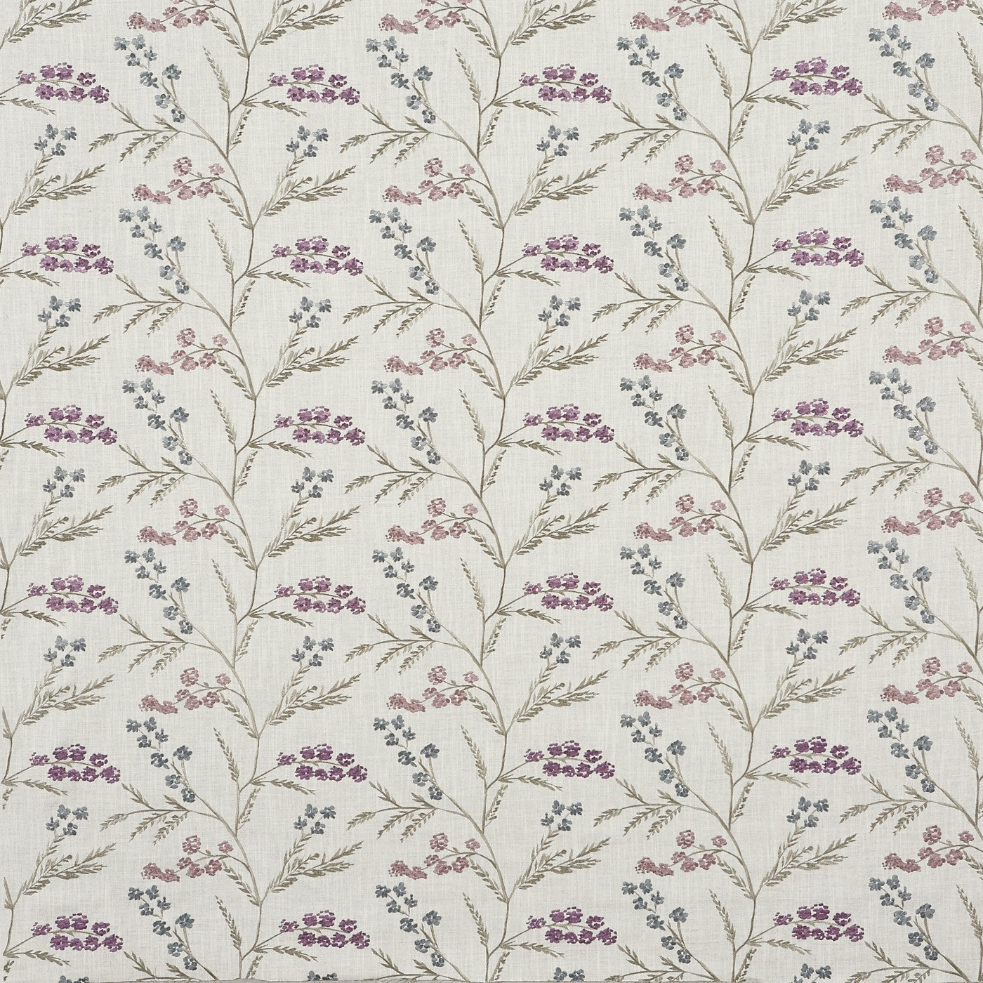 Evangeline Crocus Roman Blind