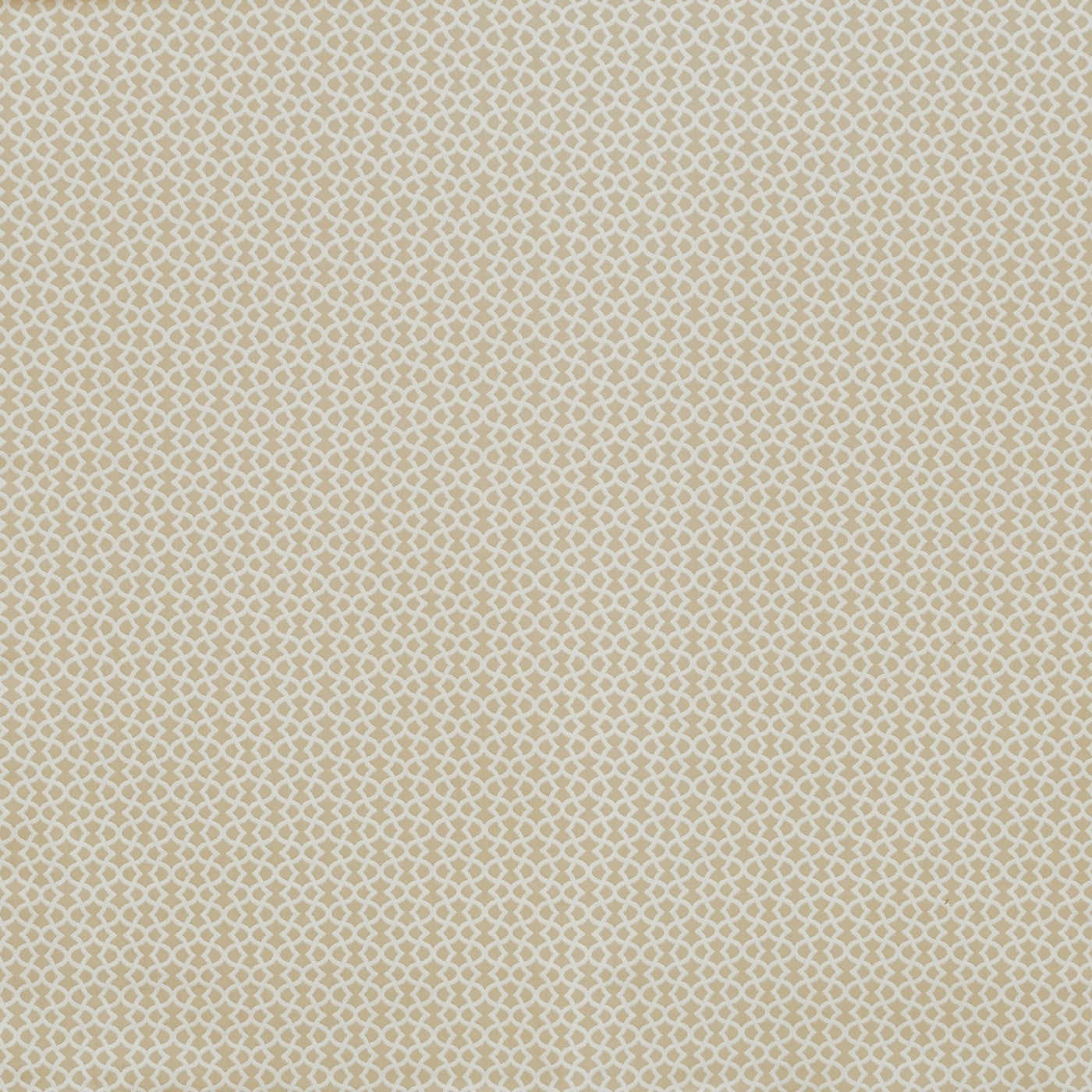 Ivy Pampas Curtains