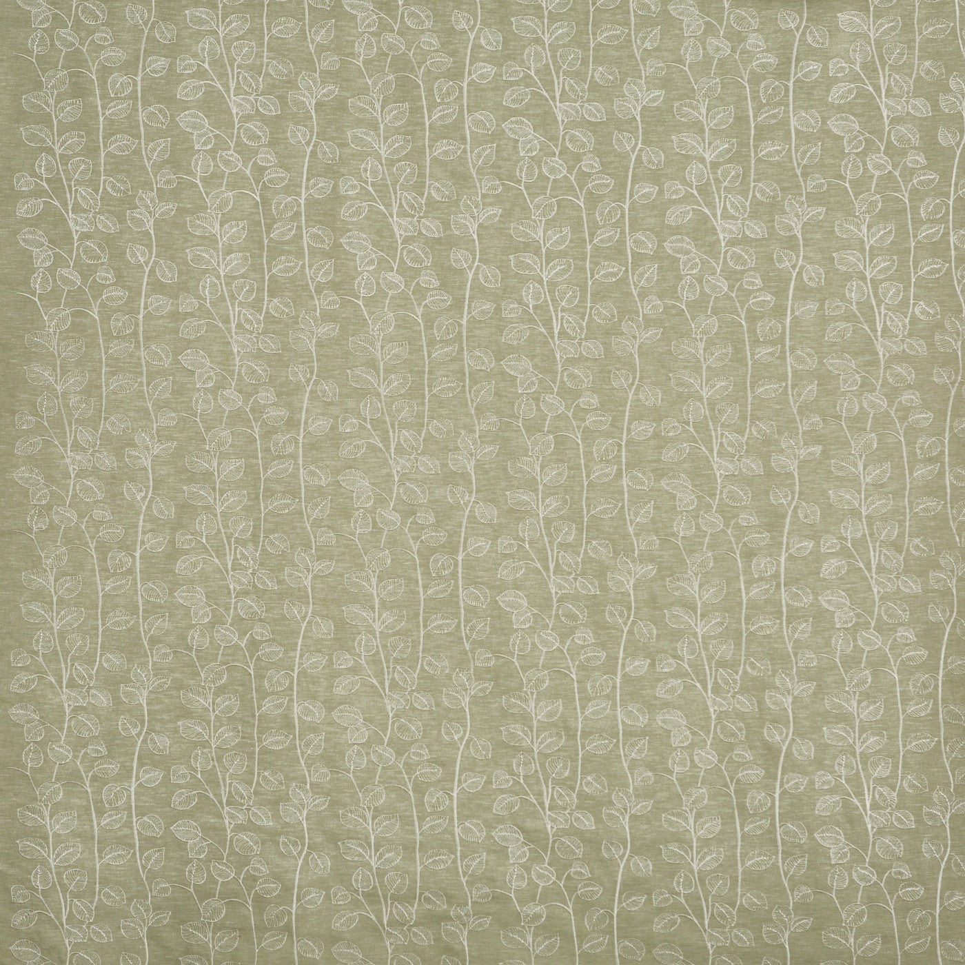 Seedling Basil Curtains