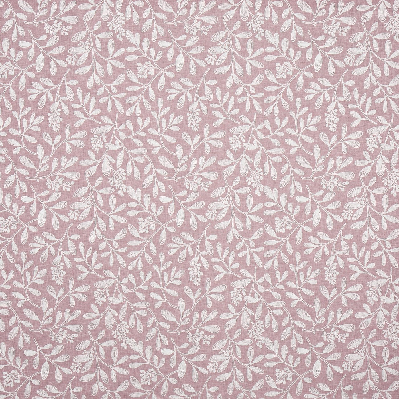 Charlotte Rose Roman Blind