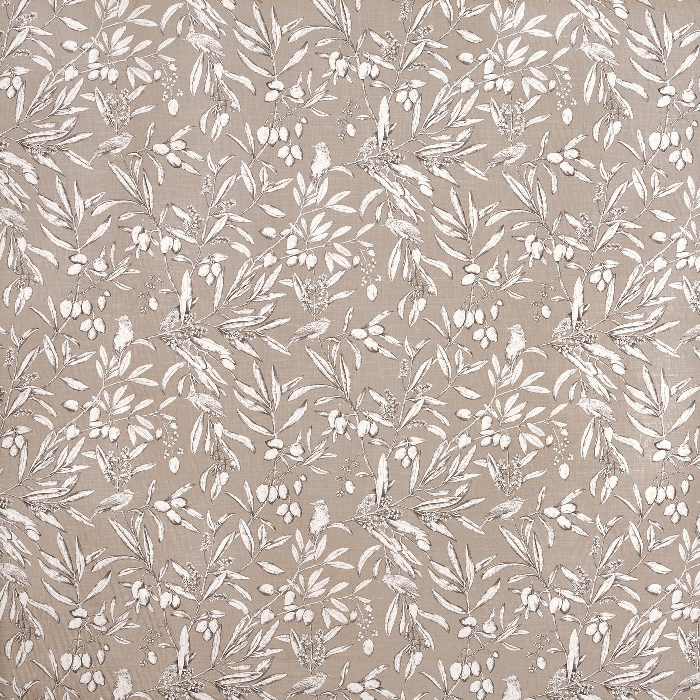 Aviary Parchment Roman Blind