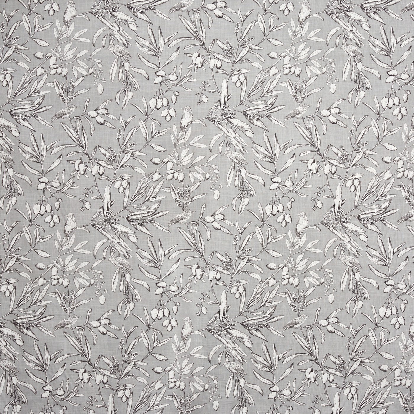 Aviary Frost Roman Blind