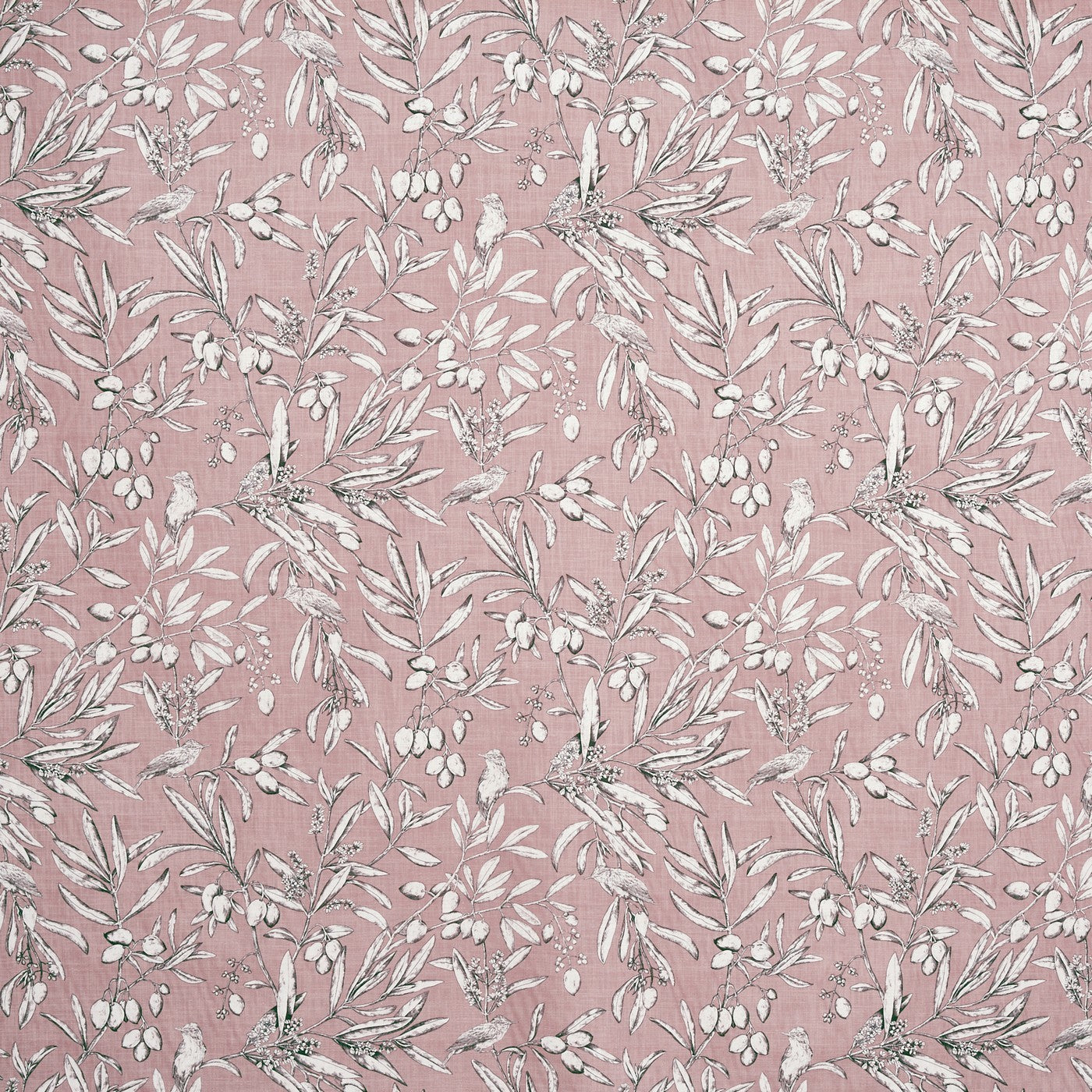 Aviary Woodrose Roman Blind