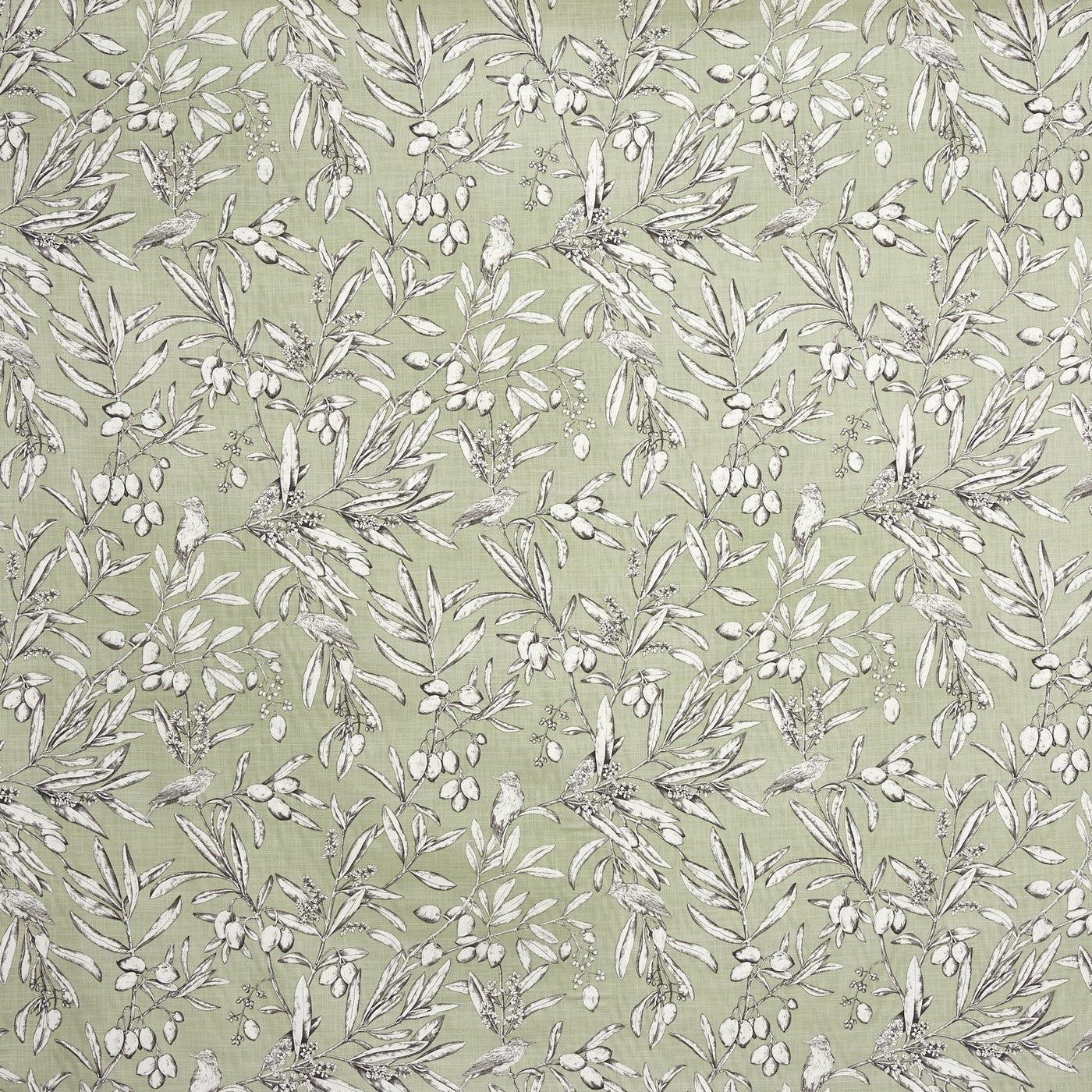 Aviary Apple Roman Blind