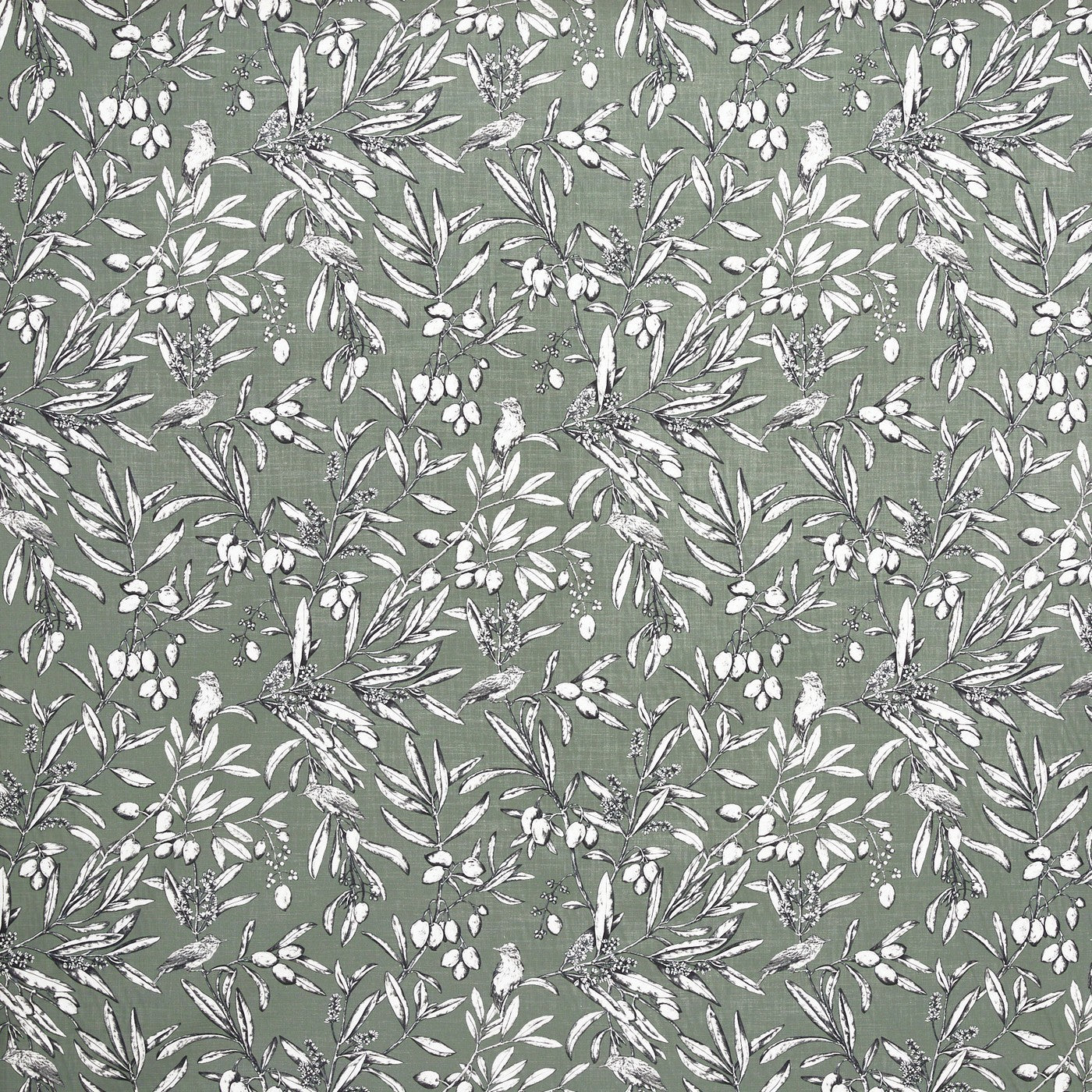 Aviary Moss Roman Blind