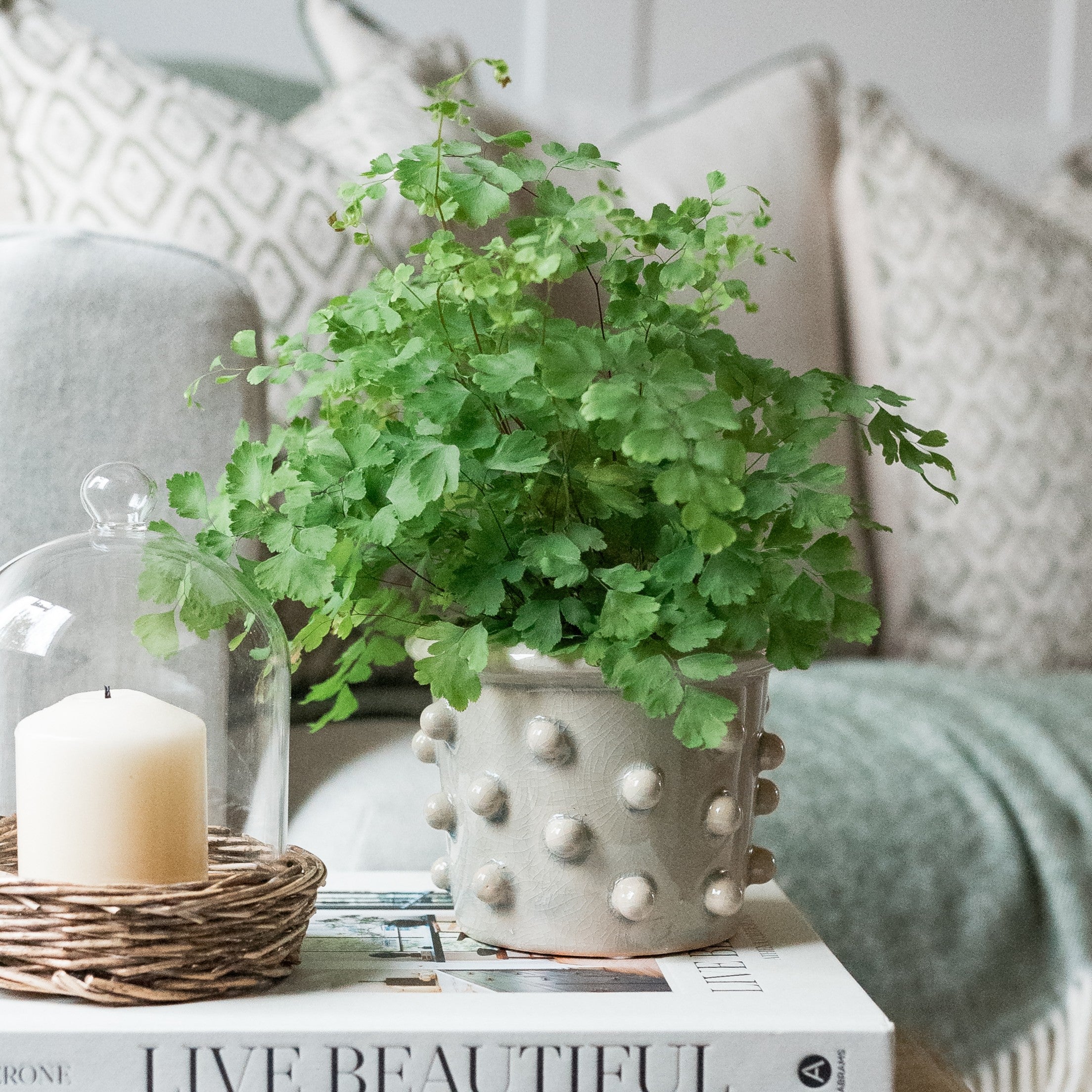 Bobble Ceramic Pot