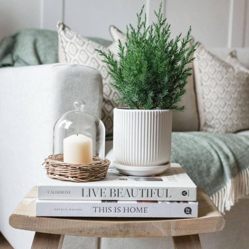 White Ceramic Ribbed Pot