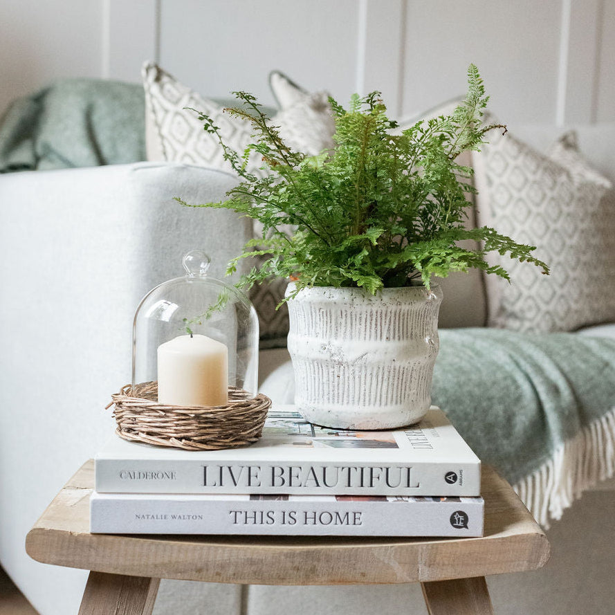 Asta Distressed Off White Planter