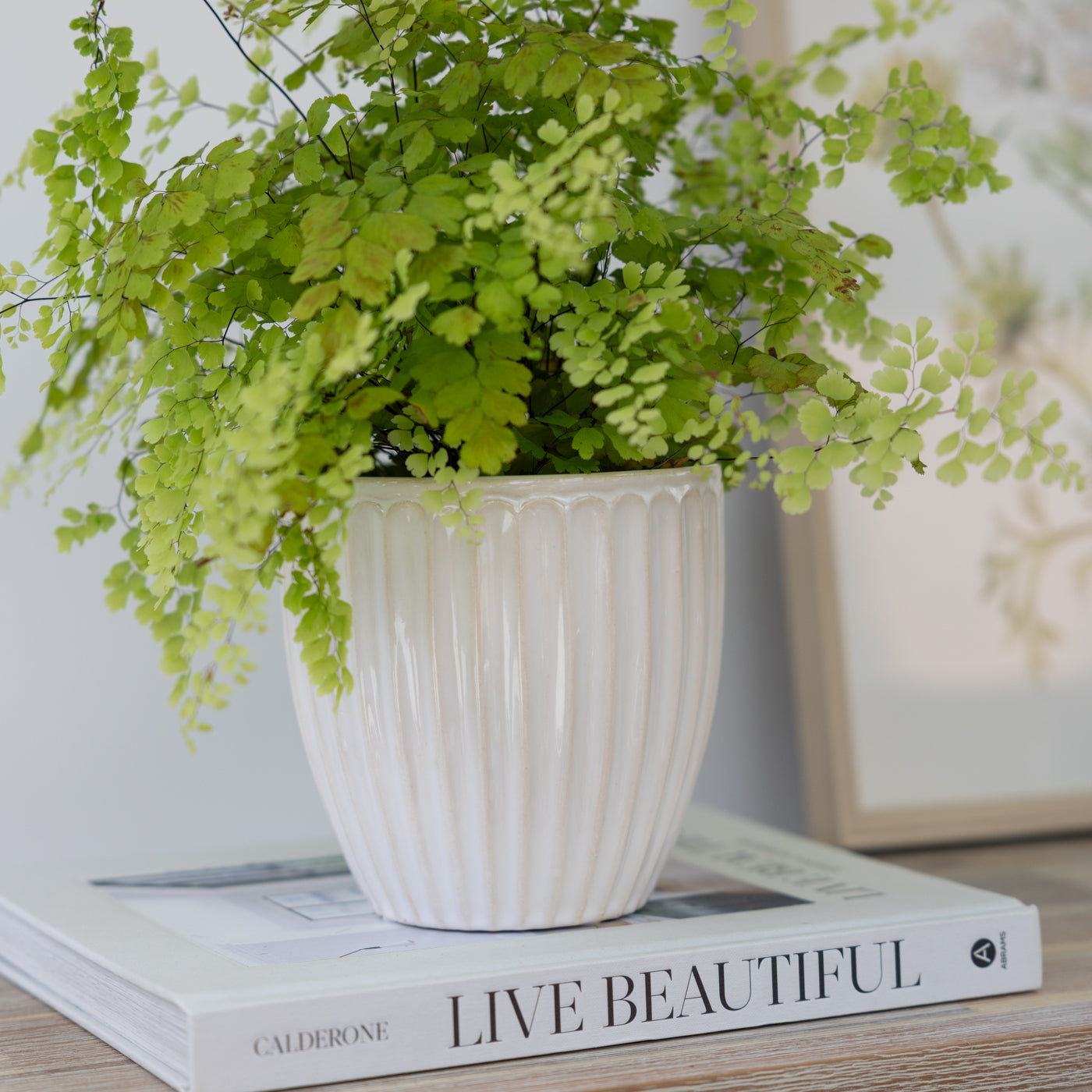 Milou Cream Ribbed Planter Pot