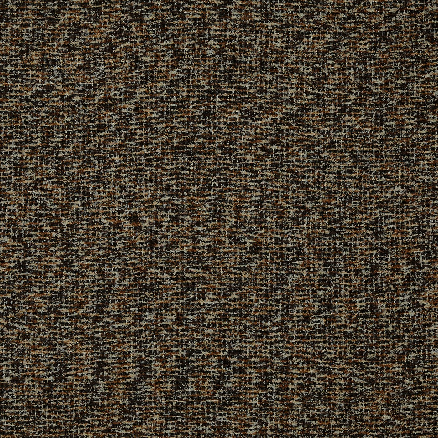 Neema Raven Roman Blind
