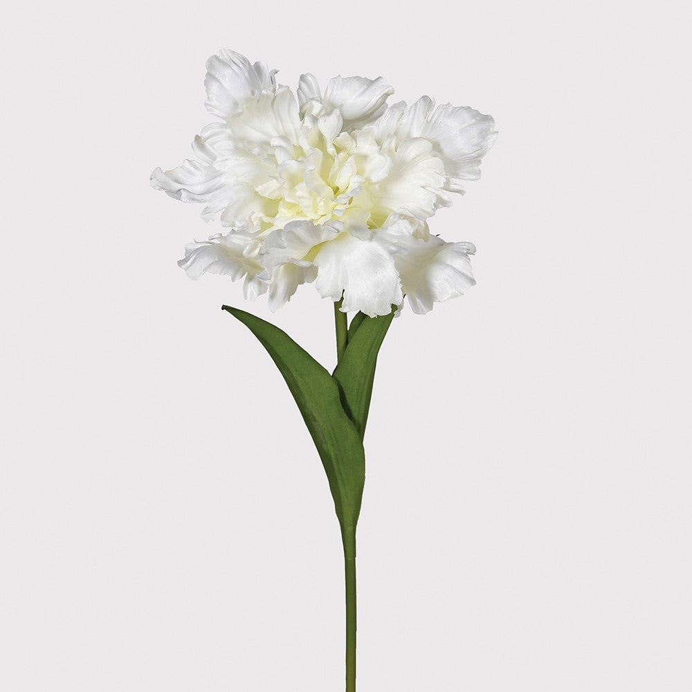 Faux White Parrot Tulip