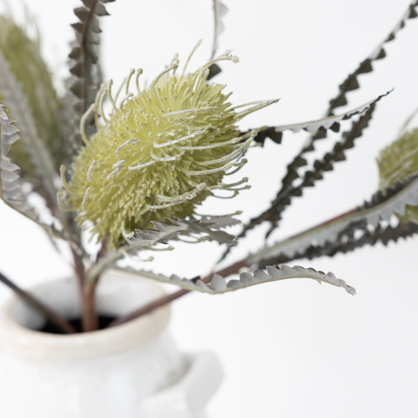 Faux Dried Look Image Green Protea Spray