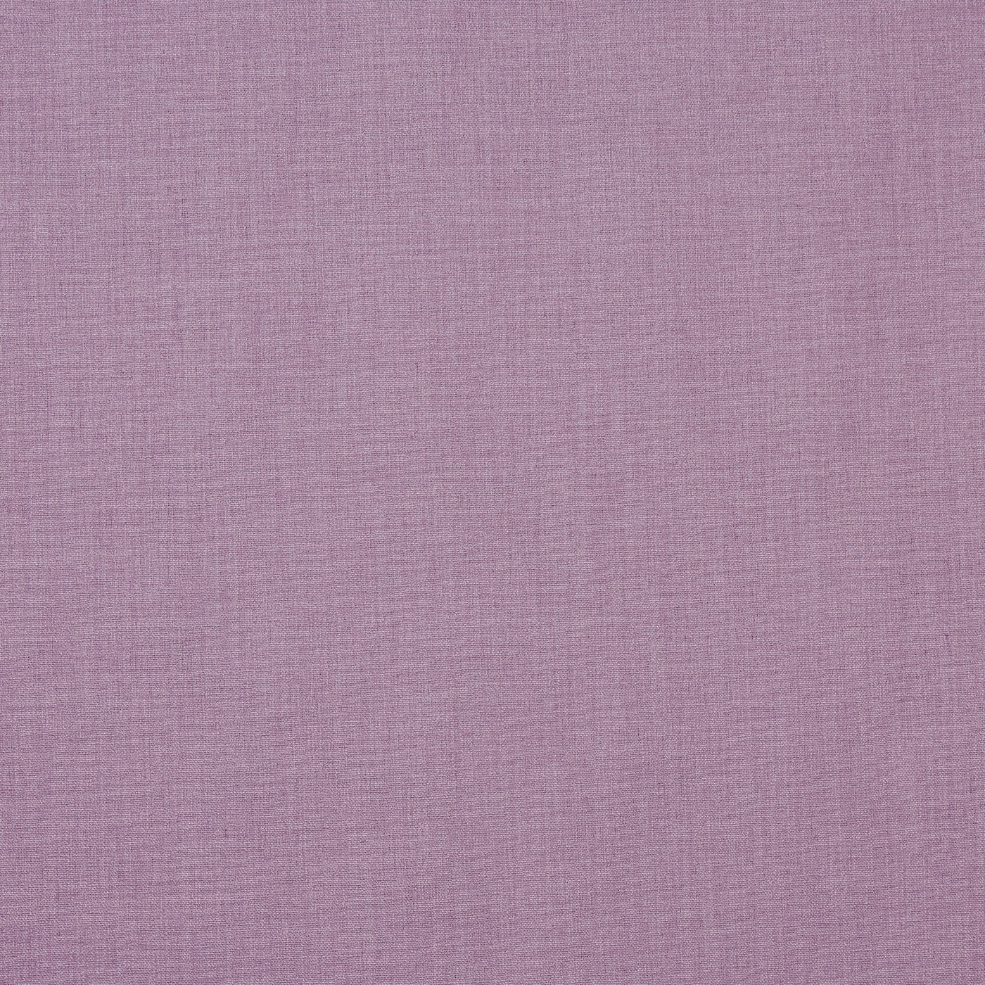 Saxon Lilac Roman Blind