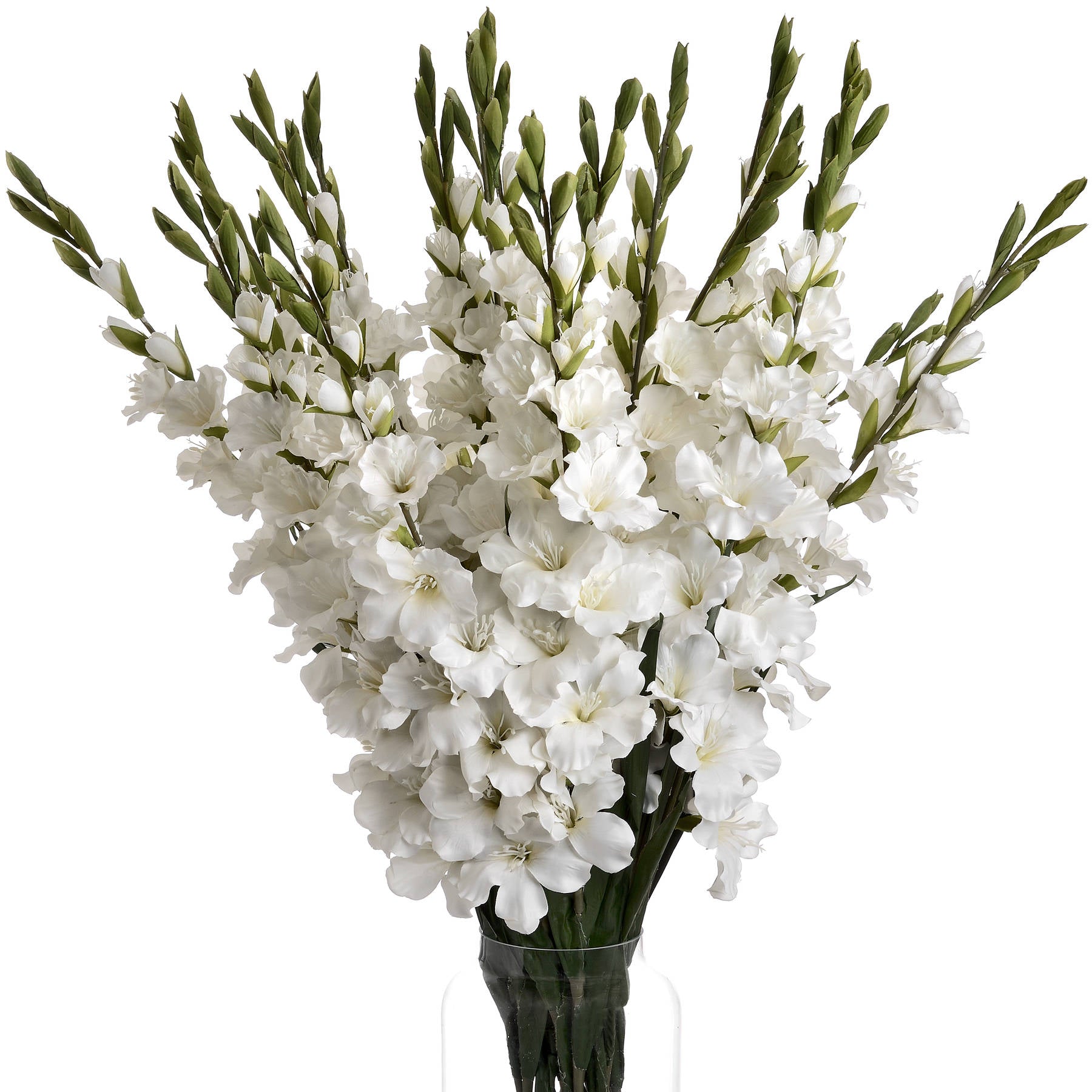 White Gladioli Spray