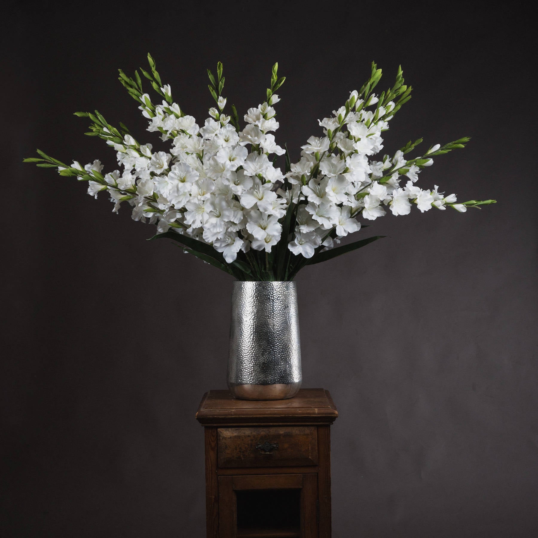 White Gladioli Stem