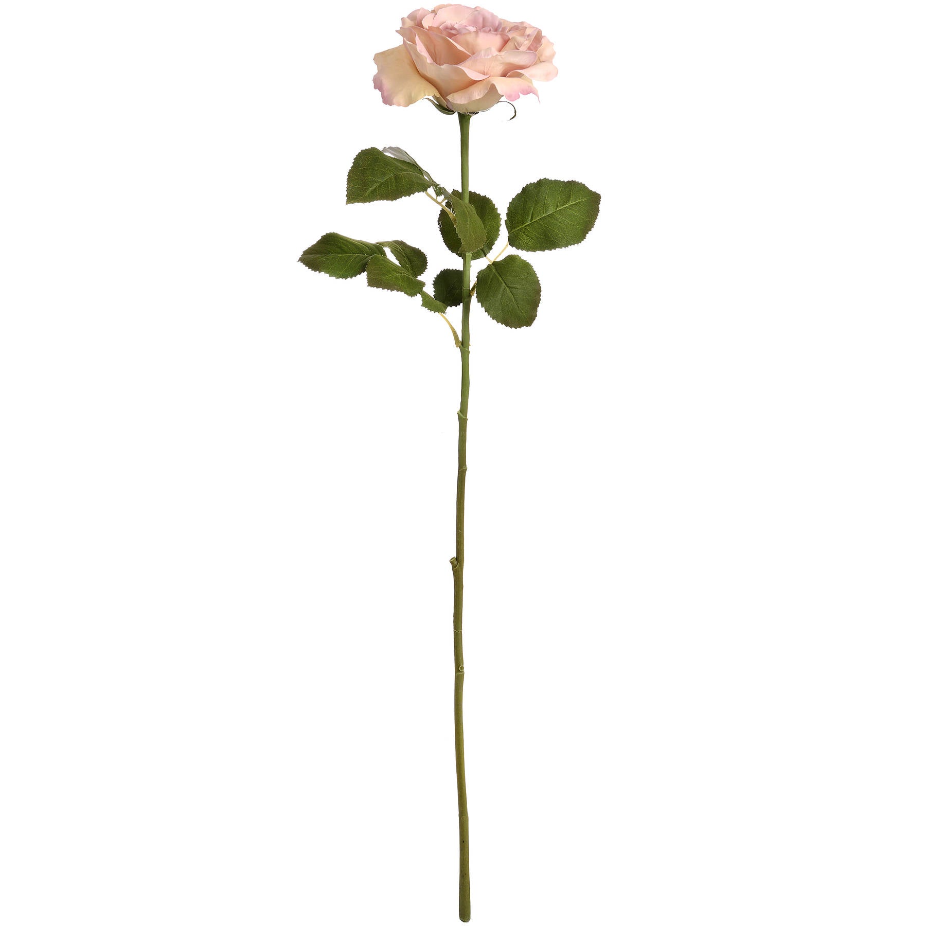 Faux Pink Silk Garden Rose