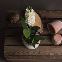 Thumbnail for Faux Potted White Hyacinth