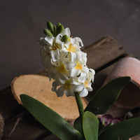 Thumbnail for Faux Potted White Hyacinth