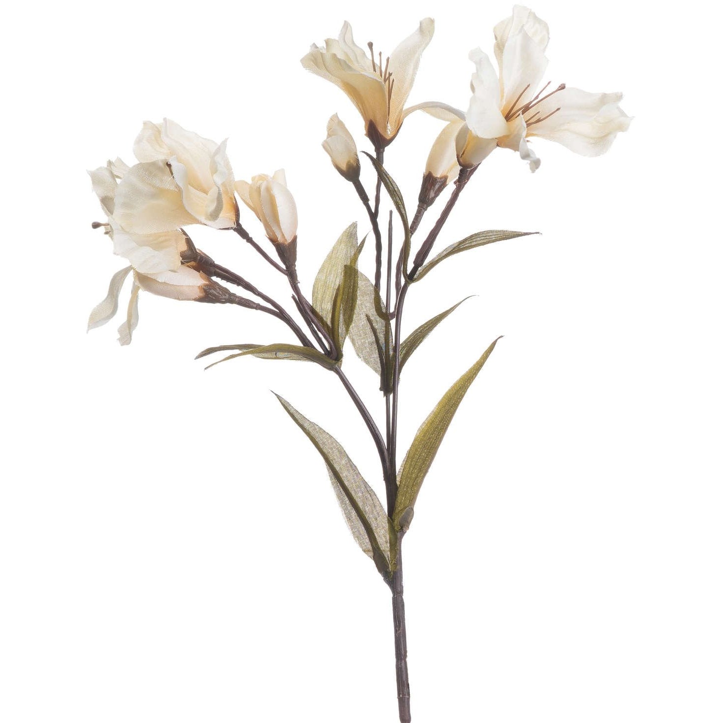 Autumn Cream Alstroemeria Lily Spray
