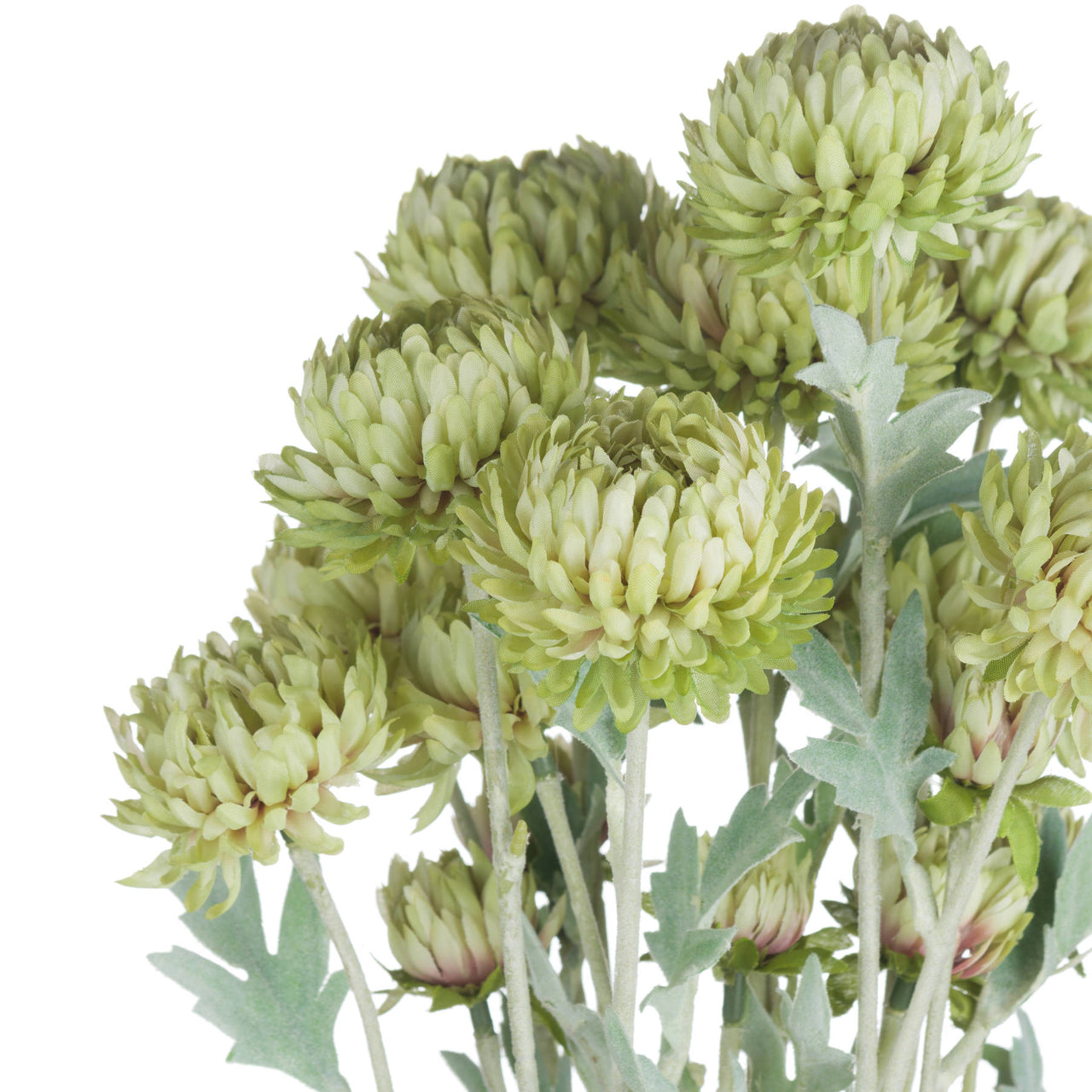 Faux Green Trick Spray