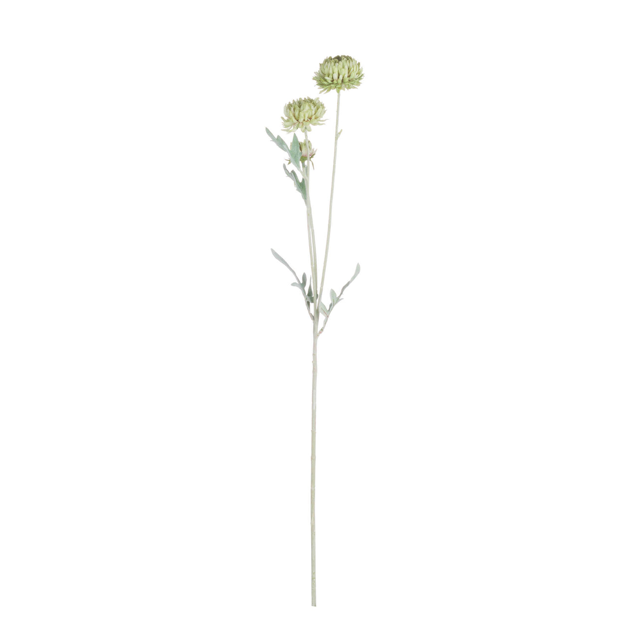Faux Green Trick Spray