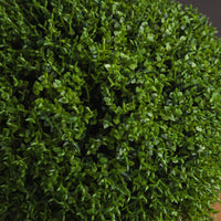 Thumbnail for Faux Hebe Globe Pot