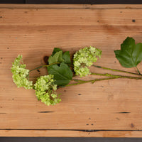 Thumbnail for Faux Green Viburnum Spray
