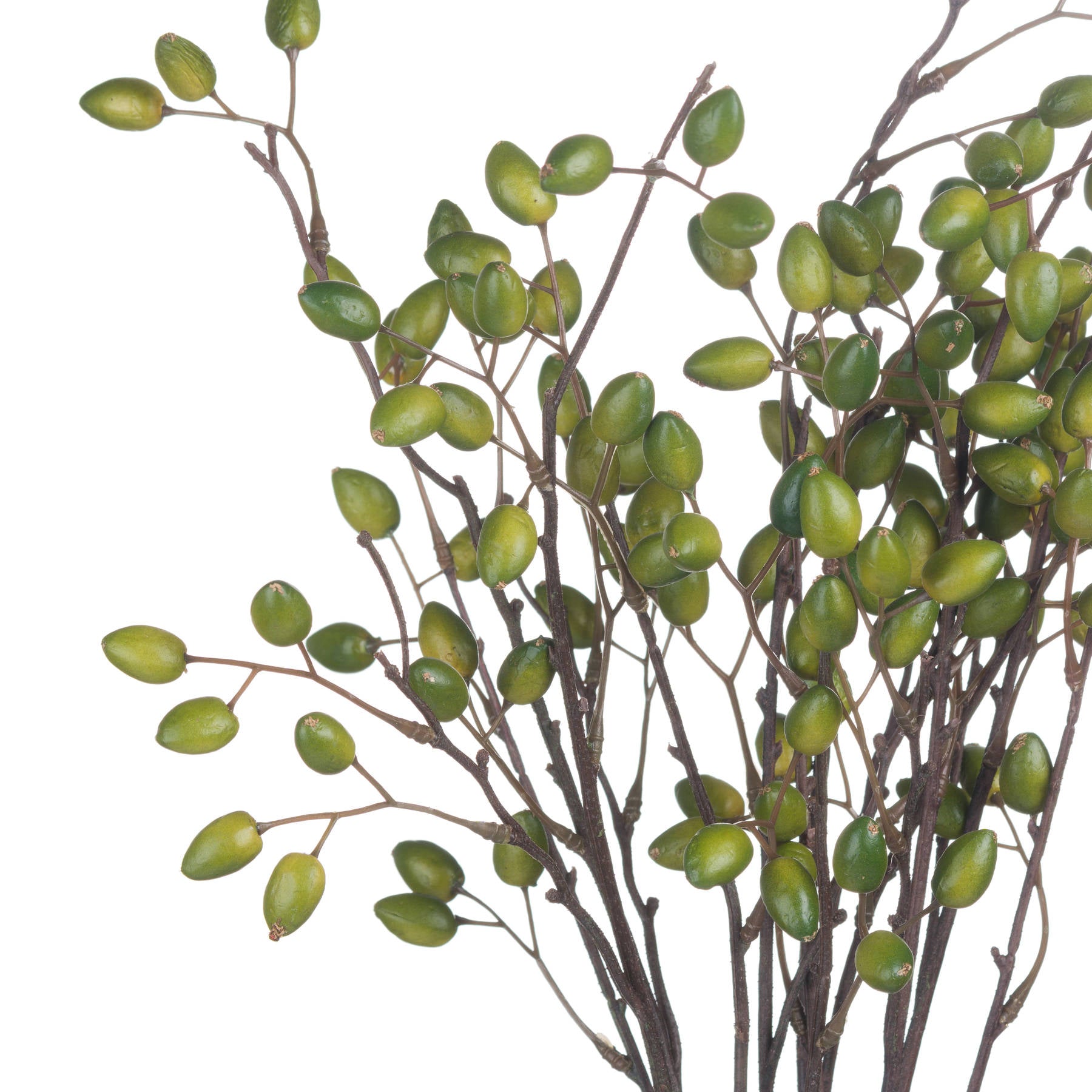 Faux Olive Spray