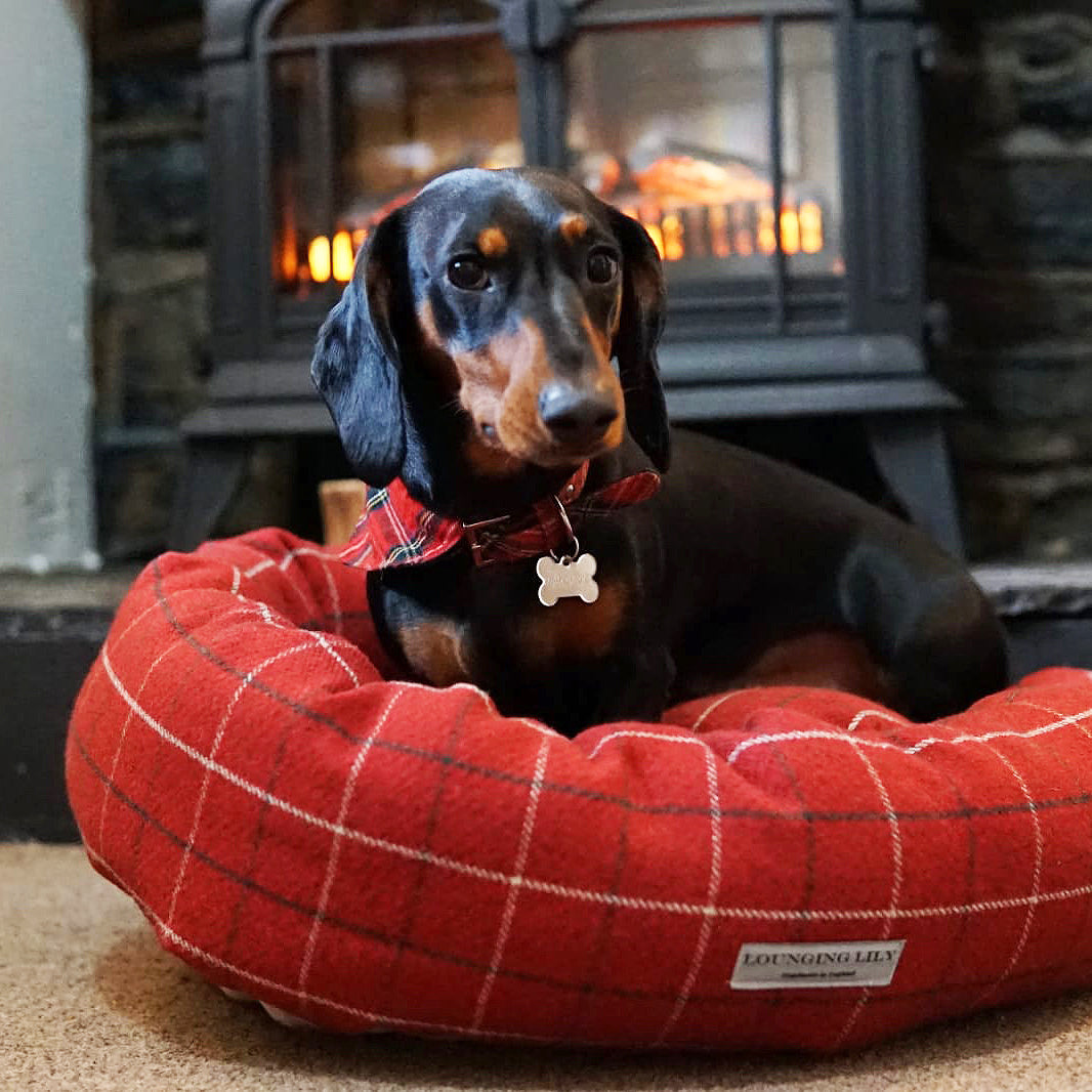 Red Checked Donut Dog Bed