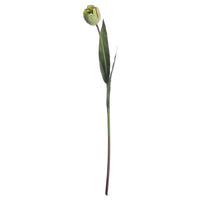 Thumbnail for Faux Green Tulip Stem
