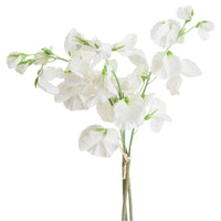 Thumbnail for Faux White Sweetpea Bouquet