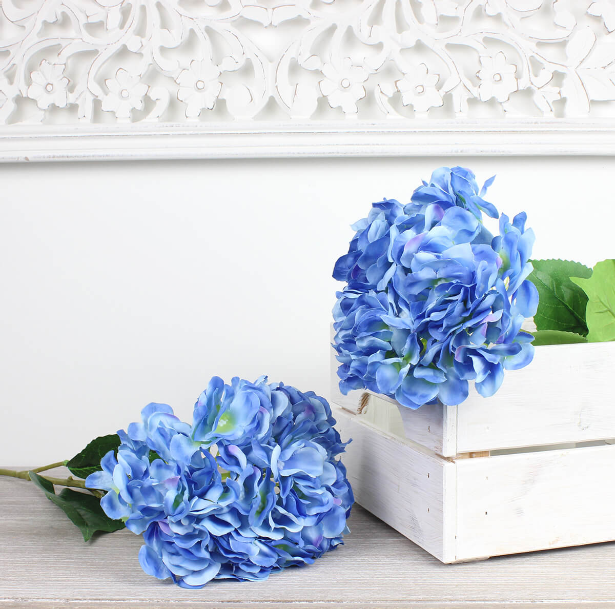 Giant Single Blue Hydrangea